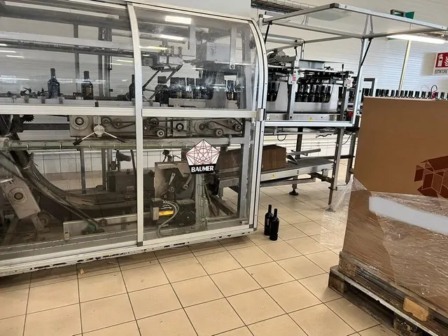 Used Baumer flex 512/3 Case Packers - JL 232