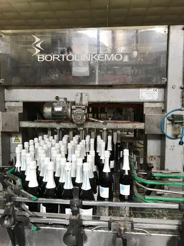 Used Bortolin Kemo iam / 2t Case Packers - JL 227