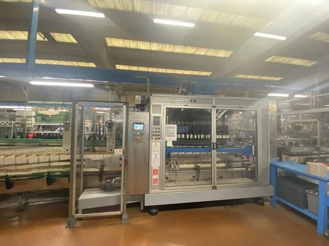 Used Mas Pack ACCUPACK 3/6 Case Packers - JL 288