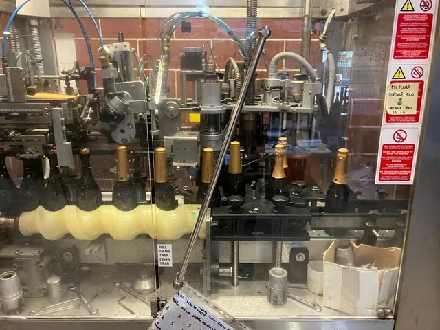 Used Robino & Galandrino FENIX 2 CO Capsuling Machines - BC 340